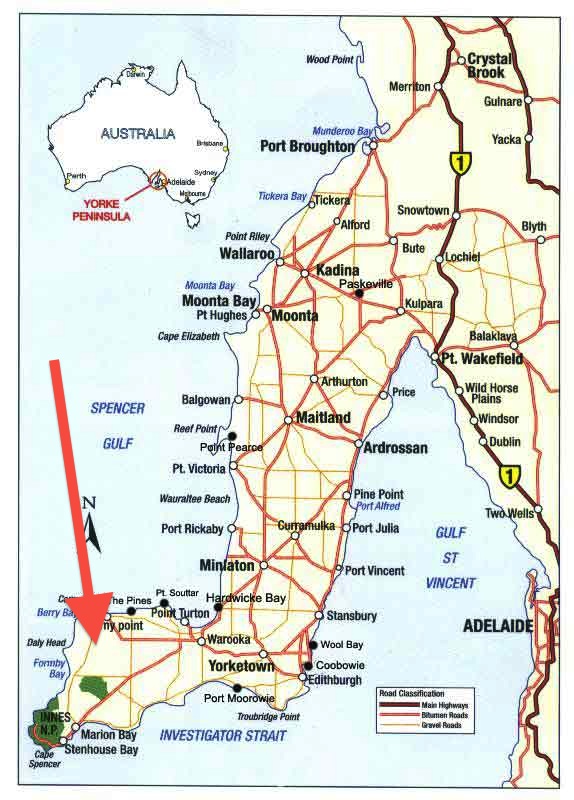 Fishing-Trips-South-Australia copy