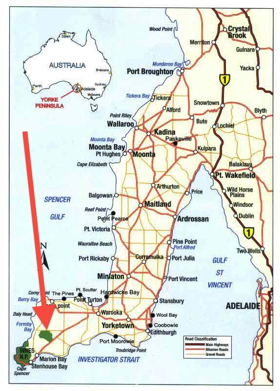 Fishing-Trips-South-Australia copy