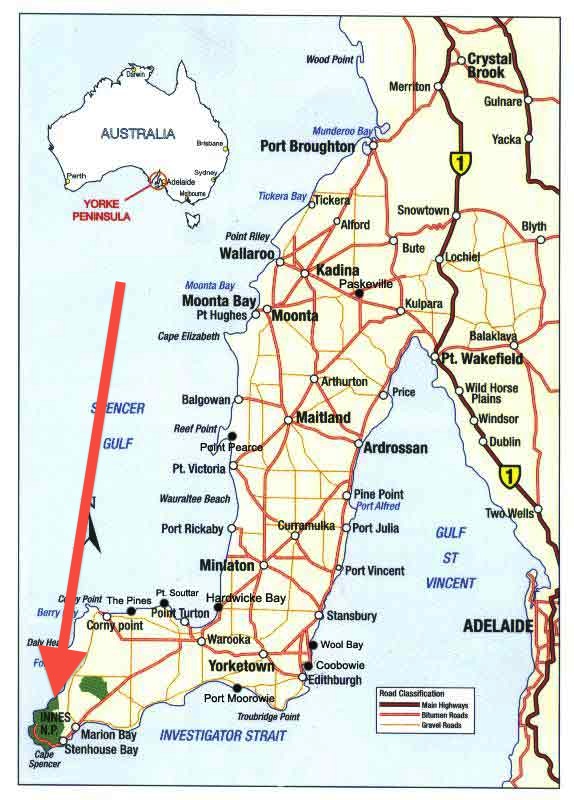 Fishing-Trips-South-Australia copy