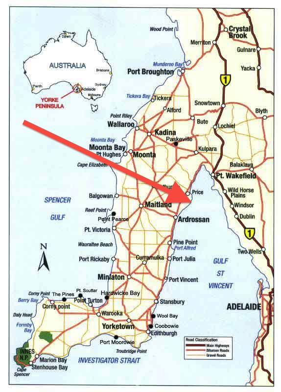 Fishing-Trips-South-Australia copy