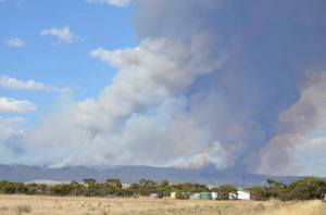 1794592_718667188166161_148701699_n