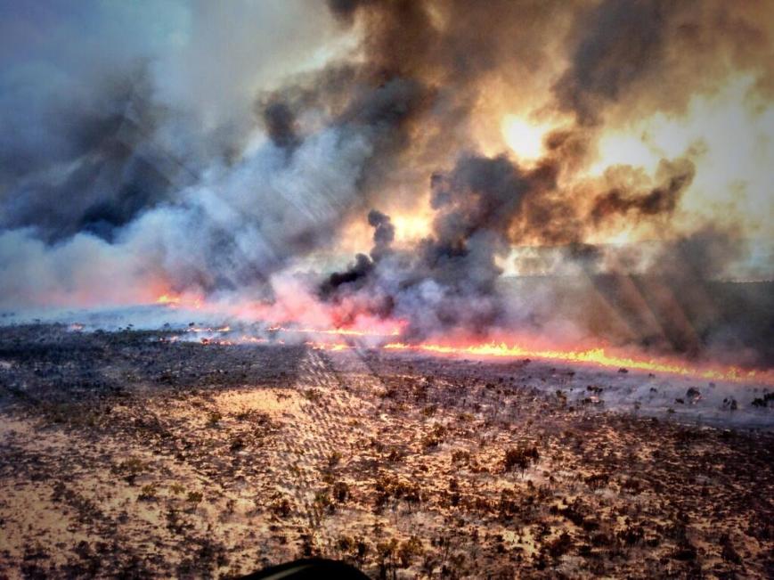 BeJLVD7CMAA4yO9.jpg-large