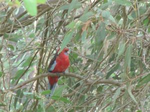 IMGA0013_3 - Version 2