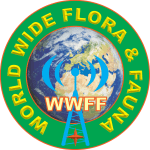 Logo WWFF 9xa1_2a copy