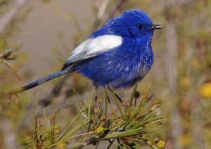 Screenshot 2015-04-20 11.54.58