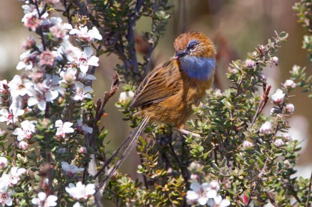 Screenshot 2015-12-13 09.14.12