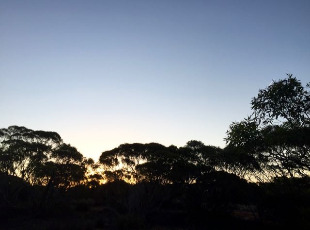 Screenshot 2016-01-16 10.37.25