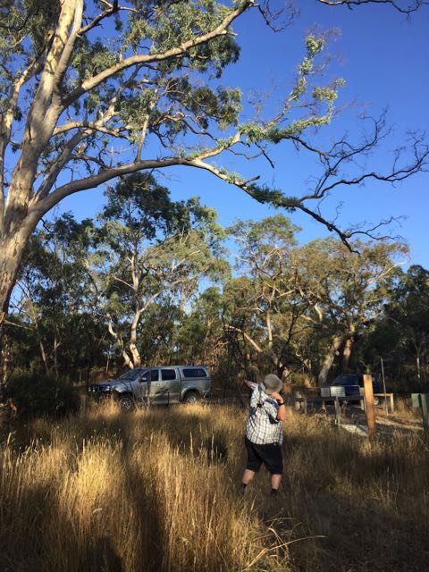 Screenshot 2016-02-27 12.04.29