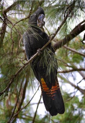 Screenshot 2016-04-05 15.16.50