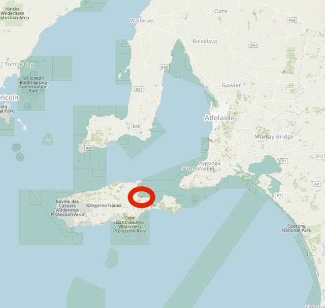 Screen Shot 2016-08-15 at 9.50.02 PM