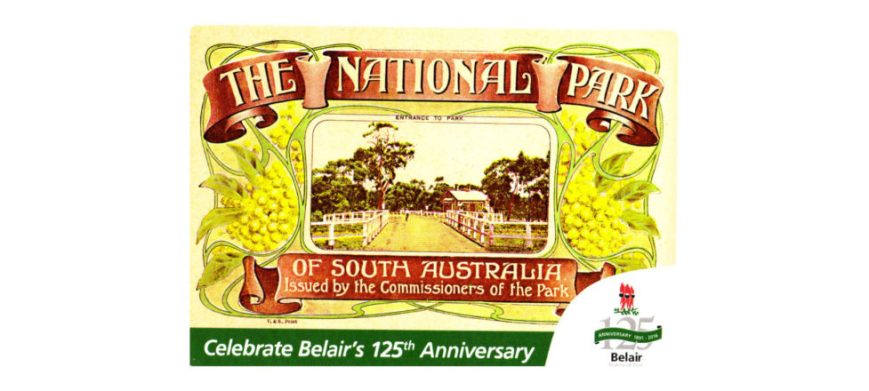 scan20160809_1249510399-977x440