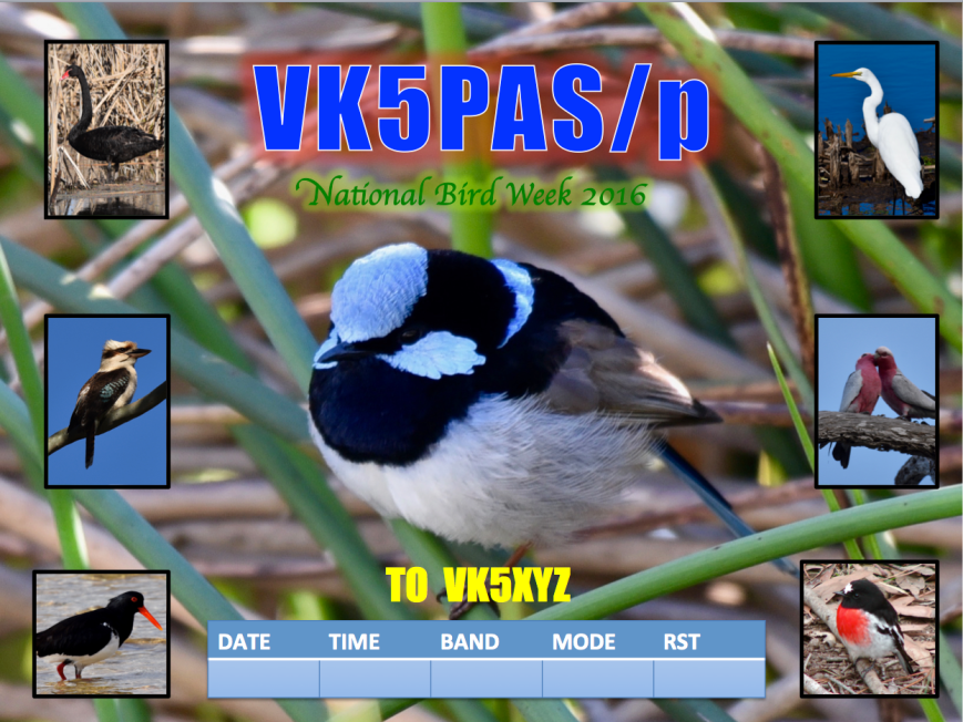 Screen Shot 2016-10-19 at 10.35.26 pm.png