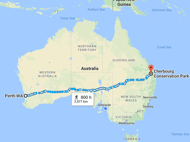 Screen Shot 2016-10-24 at 3.15.26 pm.png