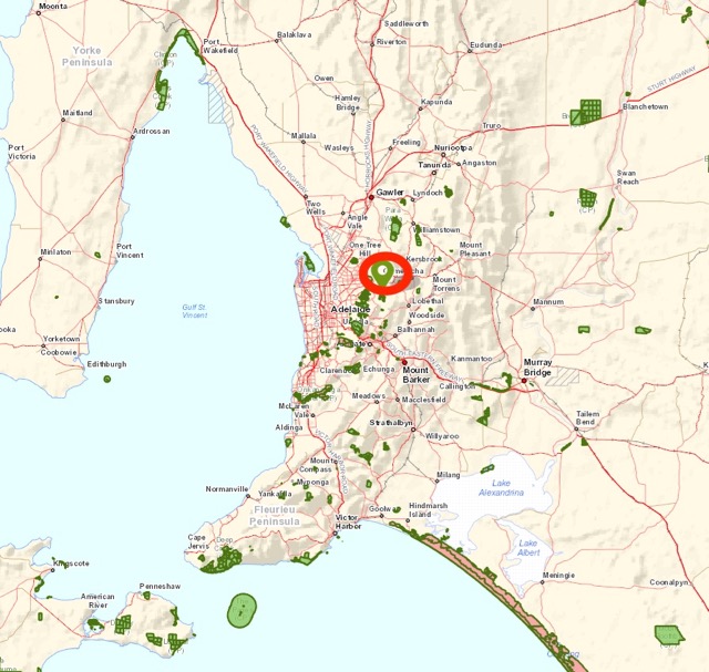 Screen Shot 2016-11-07 at 1.15.54 pm.jpg