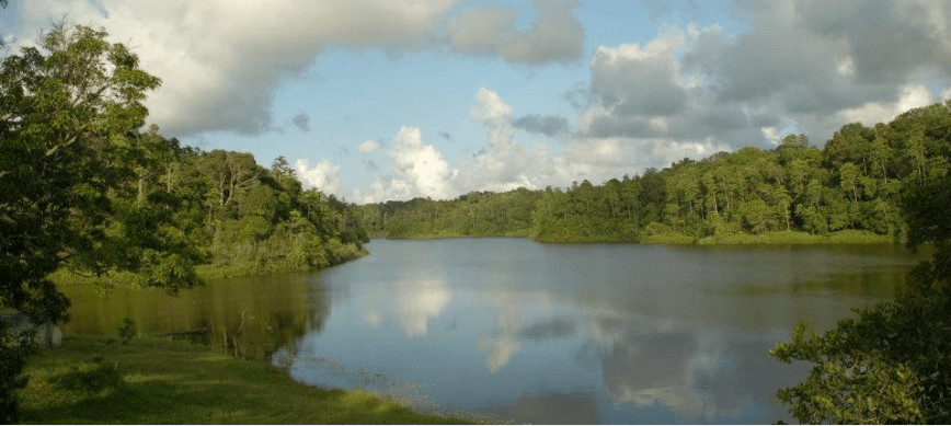 Screen Shot 2016-12-12 at 10.08.27 PM.png