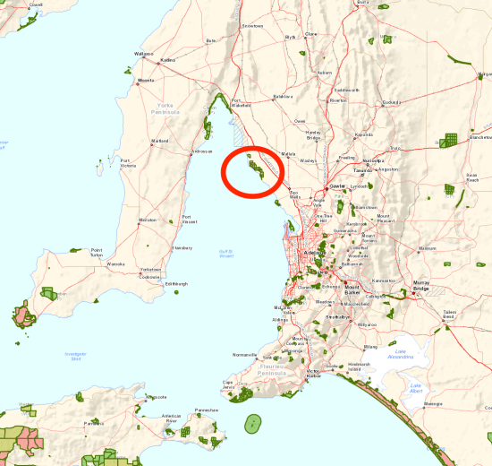 screen-shot-2016-12-13-at-9-14-41-pm