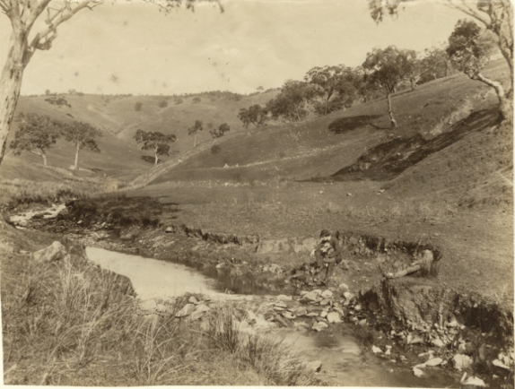 screen-shot-2017-02-19-at-10-24-46-pm