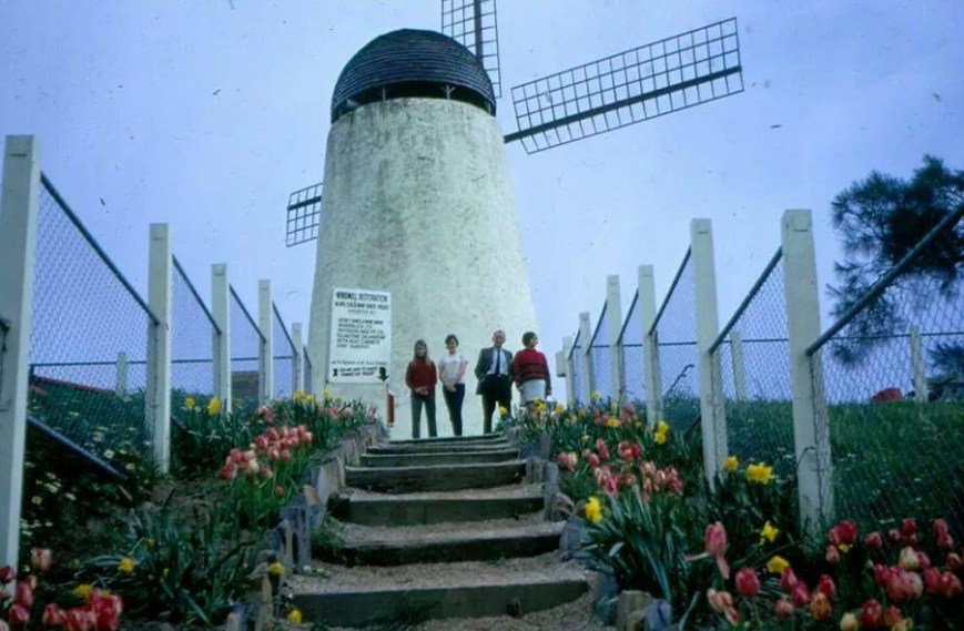 a501dyxn47c8gnjl (1)