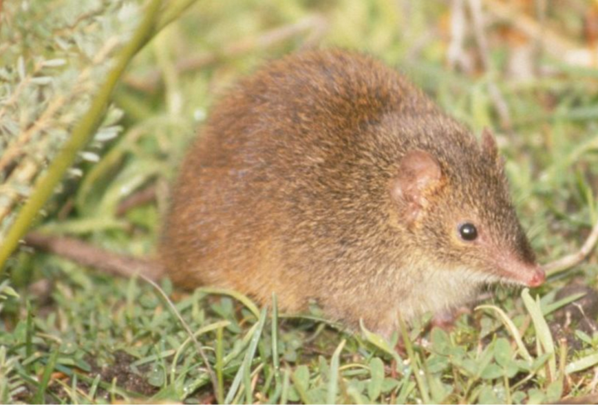 Screen Shot 2017-06-13 at 11.31.20 am.png