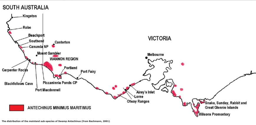 Screen Shot 2017-06-13 at 11.31.25 am.png