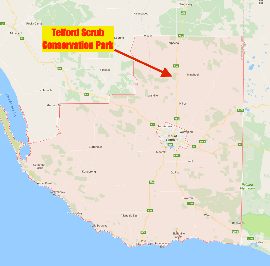 Screen Shot 2017-06-13 at 8.28.00 pm.png