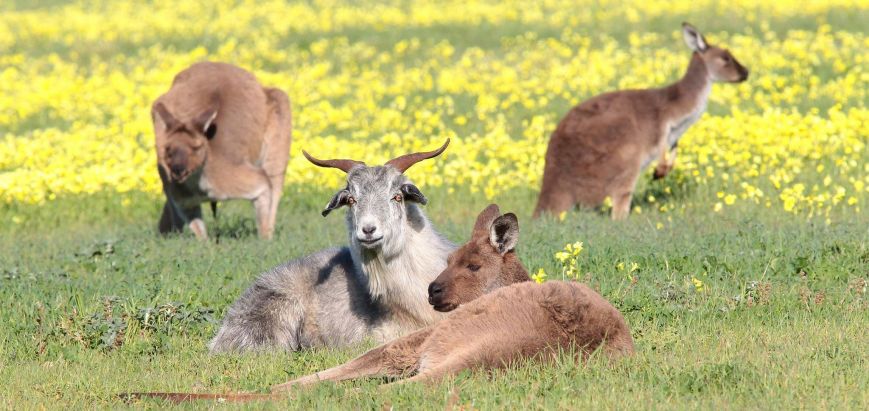 11011217_1688828114679379_8296005313819425516_o