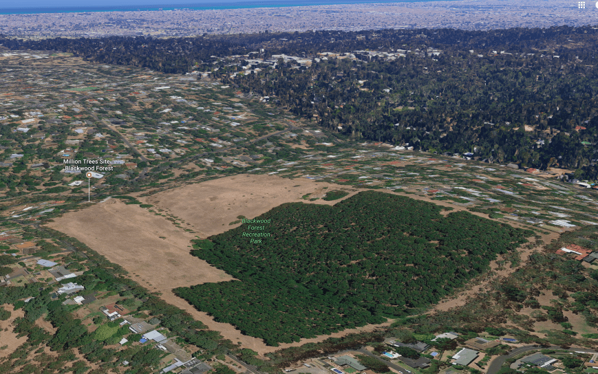 Screen Shot 2017-07-23 at 8.38.34 pm.png