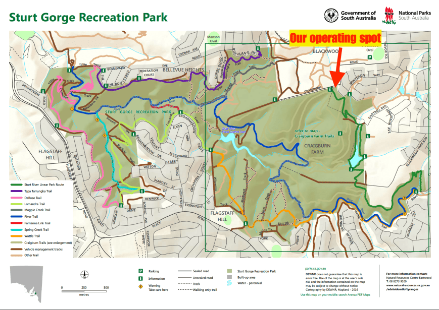 Screen Shot 2017-07-23 at 8.57.16 pm.png