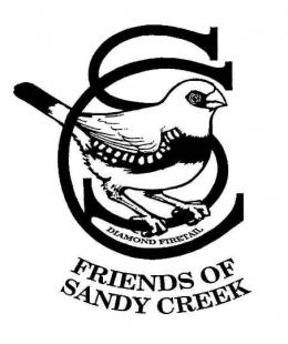 Sandy Creek
