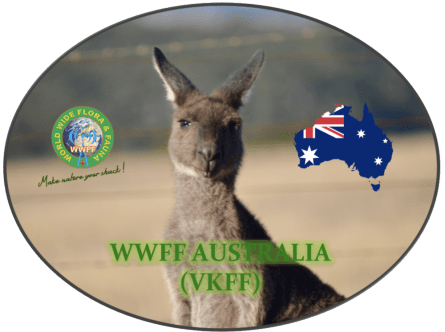 VKFF logo with transparent background.png