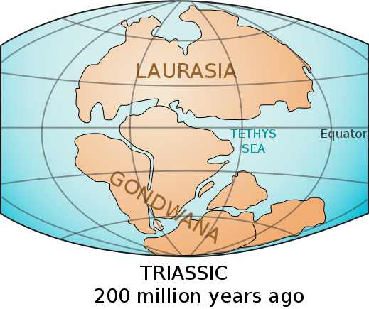 519px-Laurasia-Gondwana.svg.png