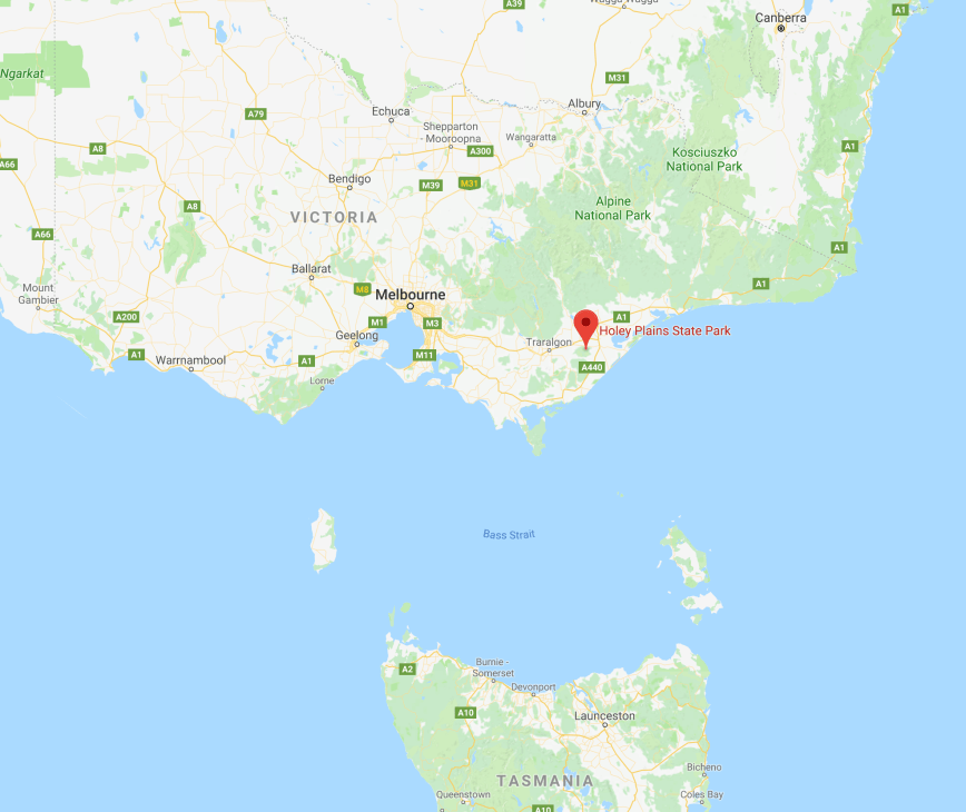 Screen Shot 2017-11-22 at 4.37.58 pm.png