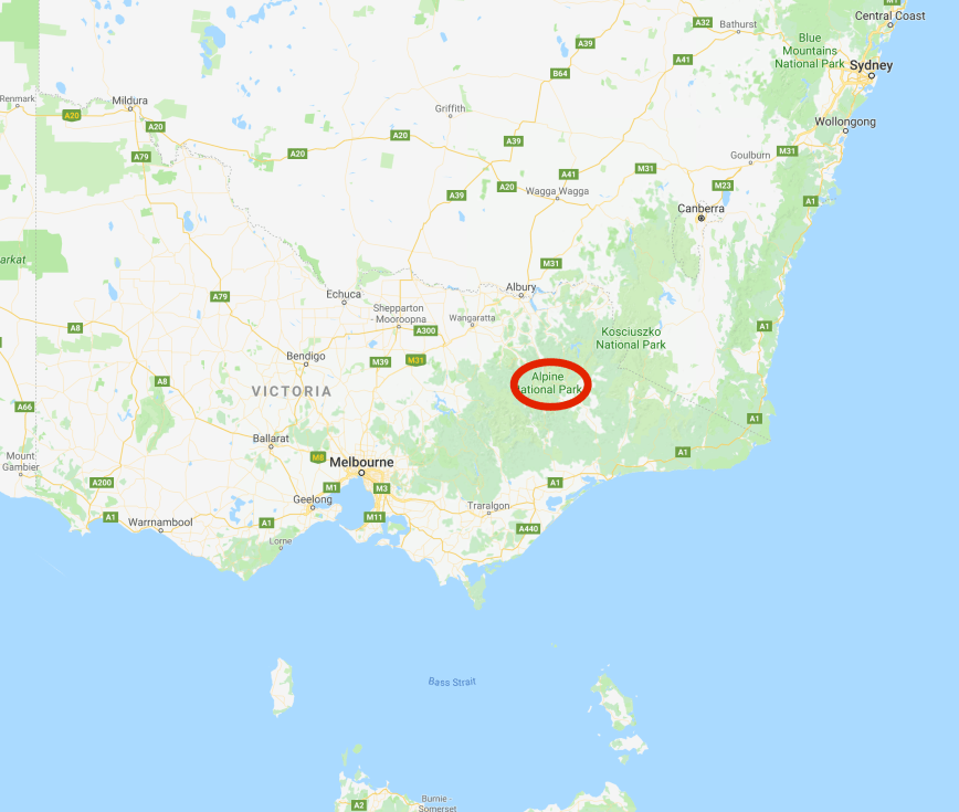 Screen Shot 2017-11-28 at 5.43.35 pm.png