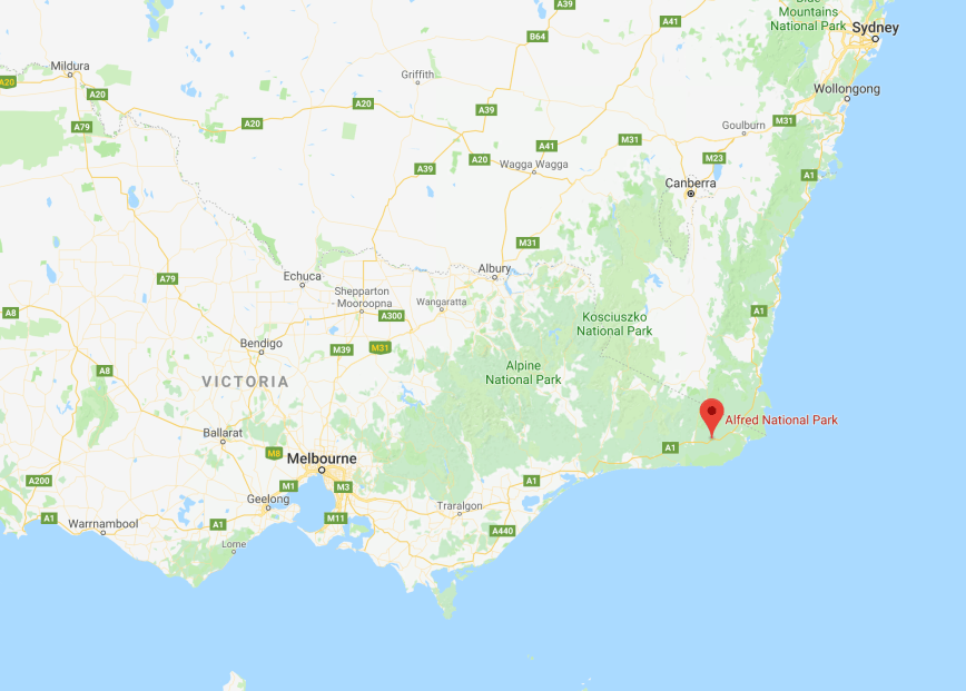 Screen Shot 2017-11-29 at 7.17.27 pm.png