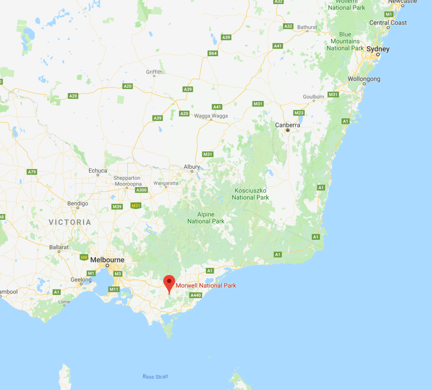 Screen Shot 2017-12-01 at 10.21.09 pm.png