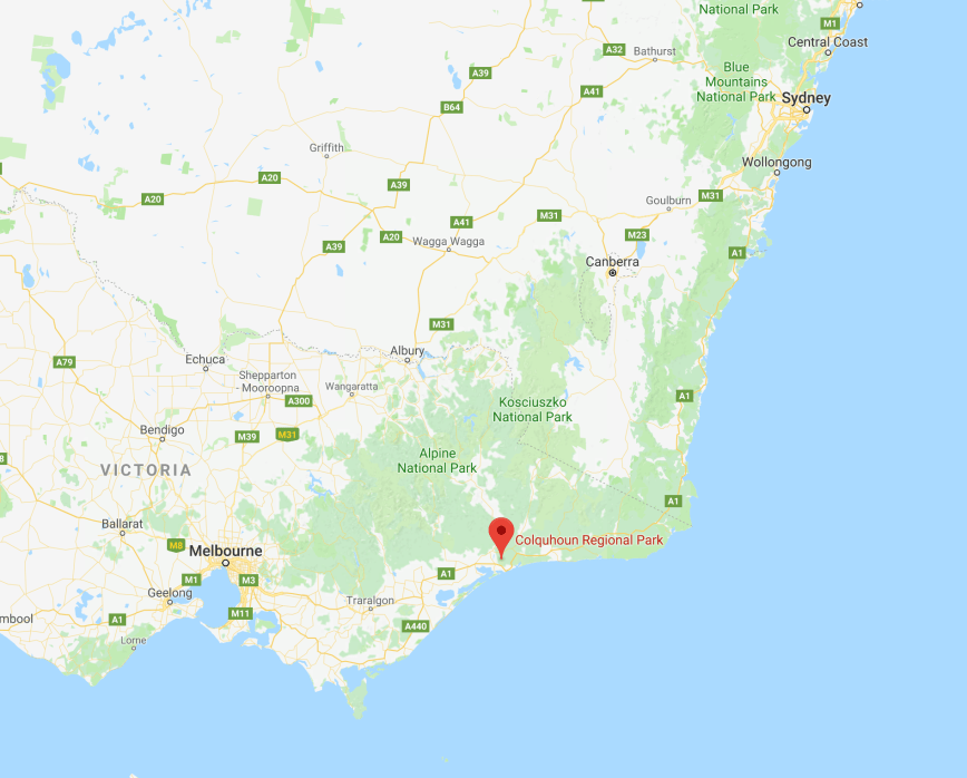 Screen Shot 2017-12-01 at 4.42.29 pm.png