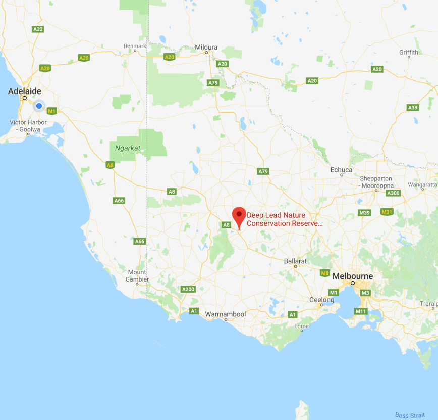 Screen Shot 2017-12-02 at 4.56.00 pm.png