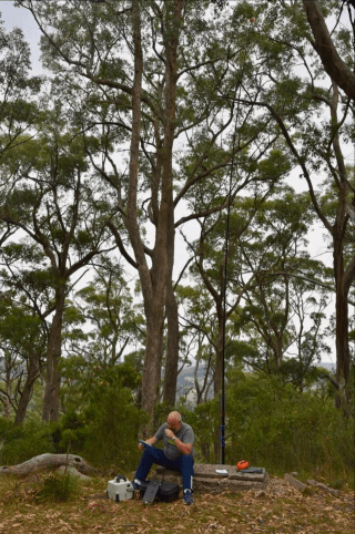 Screen Shot 2018-06-02 at 11.31.50 am