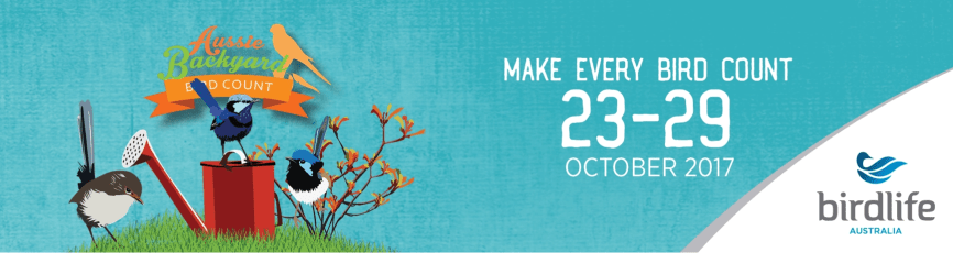 Screen Shot 2018-06-03 at 8.43.36 pm.png