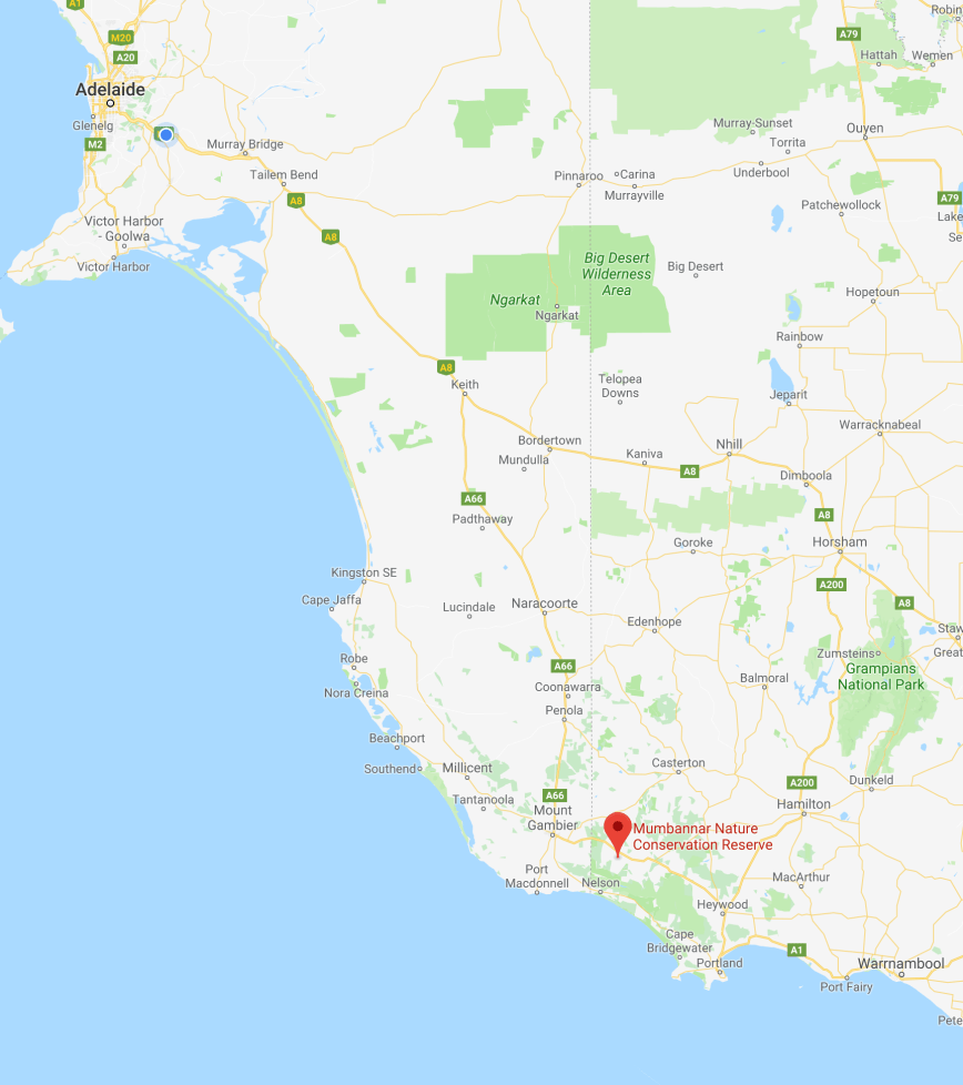 Screen Shot 2018-06-18 at 4.56.57 pm