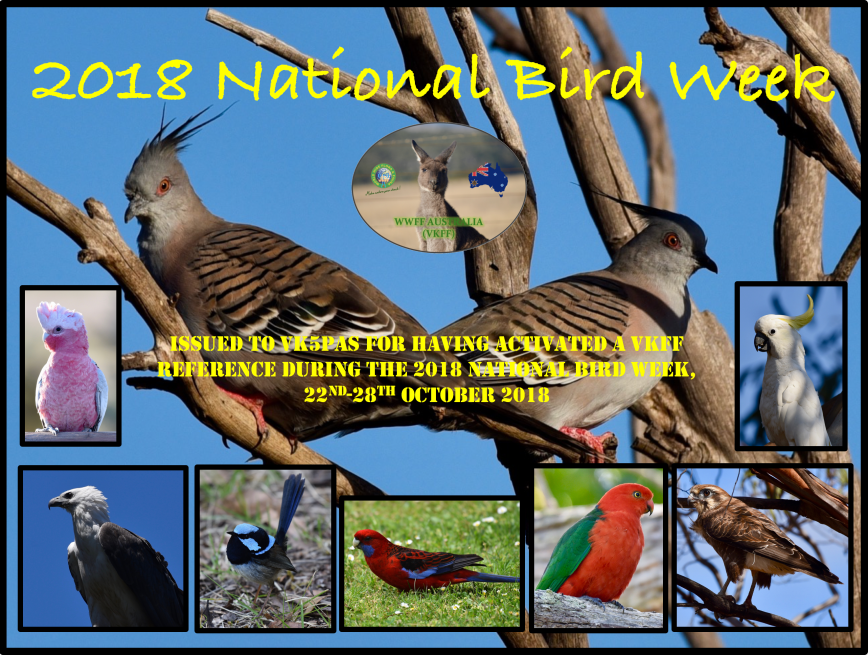 Screen Shot 2018-10-23 at 11.13.05 am.png