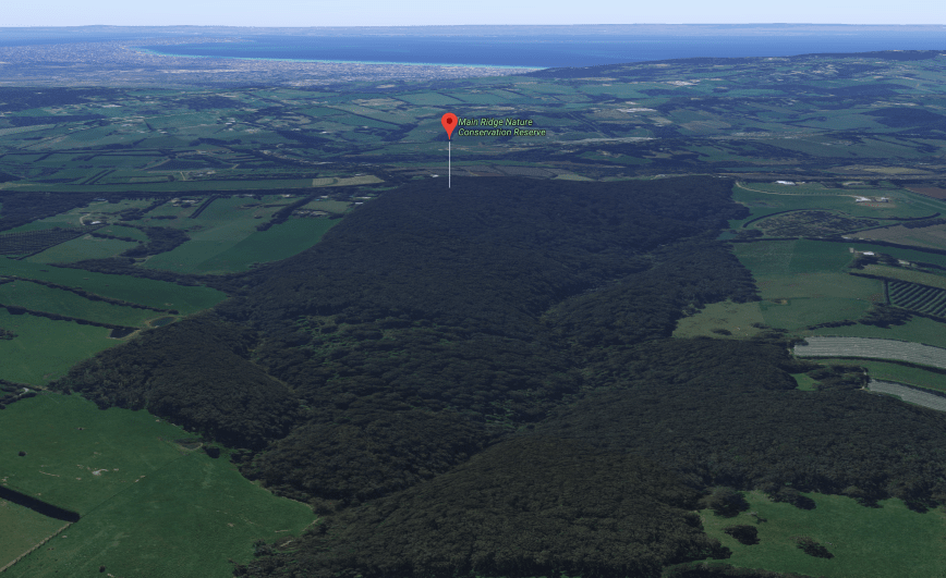 Screen Shot 2018-12-17 at 8.16.06 pm.png