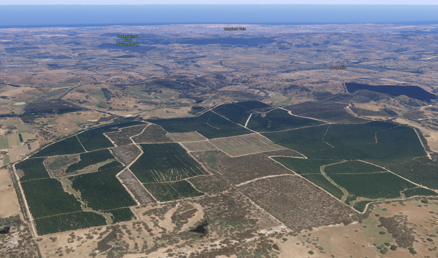 Screen Shot 2019-04-22 at 8.39.56 pm.png