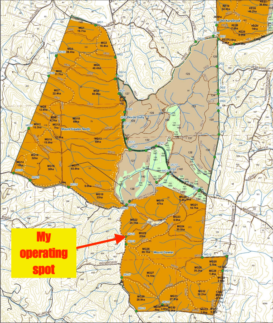 Screen Shot 2019-04-28 at 10.17.32 am.png