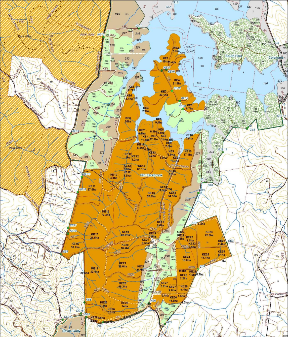 Screen Shot 2019-04-28 at 10.20.14 am.png