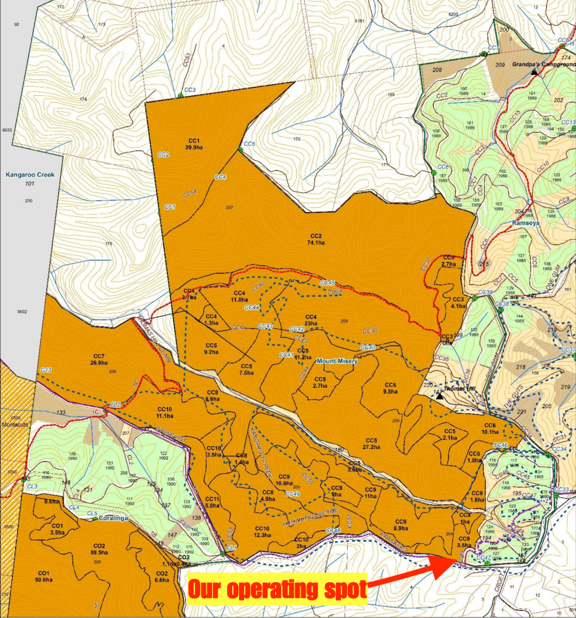 Screen Shot 2019-06-11 at 6.28.12 pm.png