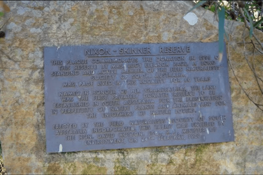 Screen Shot 2019-06-17 at 8.22.58 pm.png