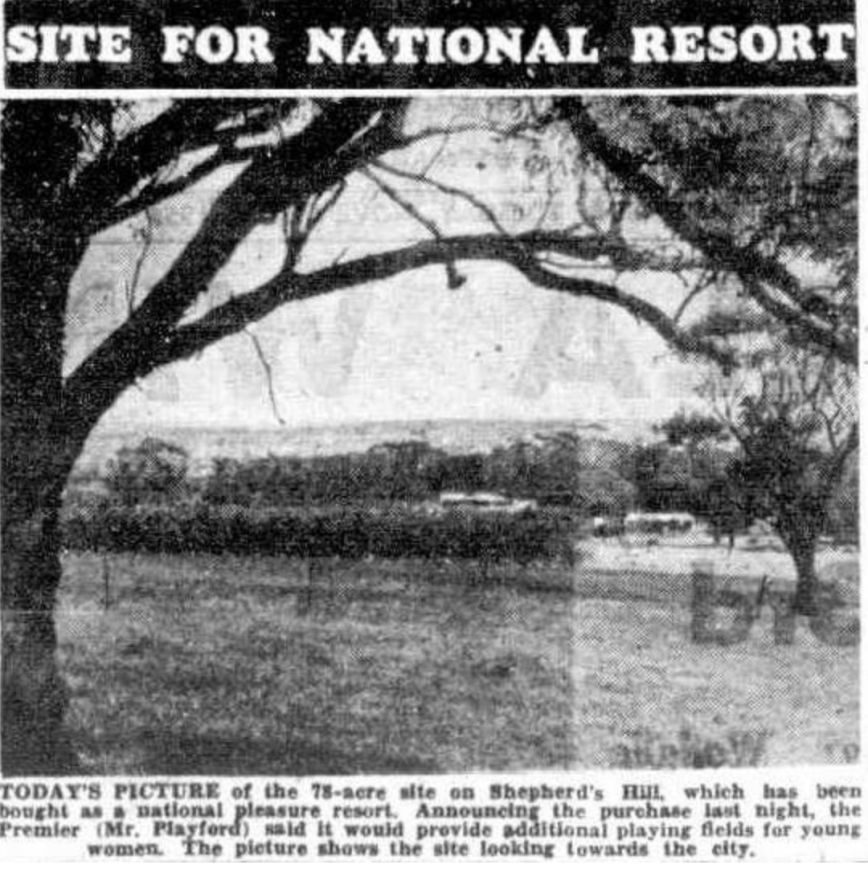 Screen Shot 2019-07-30 at 6.36.58 pm.png