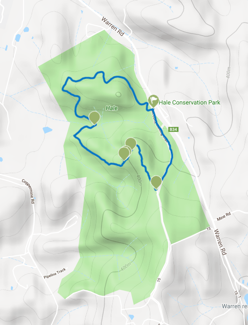 Screen Shot 2019-08-14 at 9.03.26 pm.png