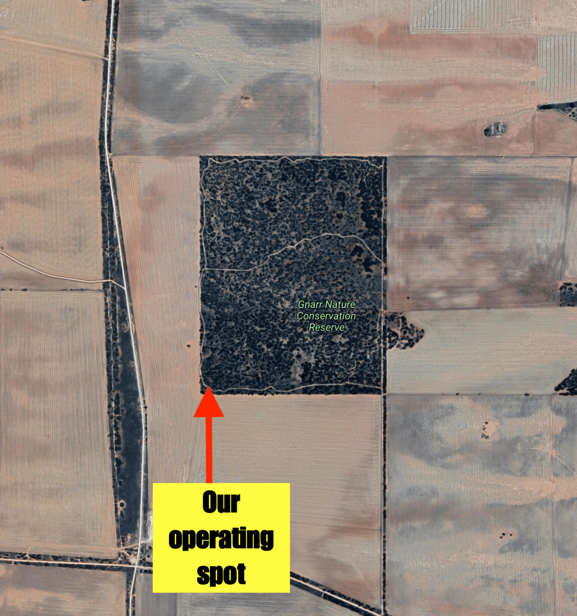 Screen Shot 2019-11-12 at 2.08.14 pm.png